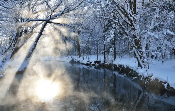 Picture winter, rays, light, snow, nature, river, Blik