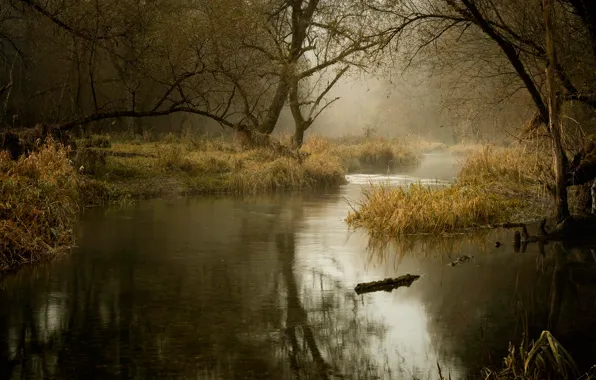 Picture autumn, river, November