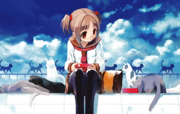 Picture the sky, clouds, cats, anime, glasses, girl, uniform
