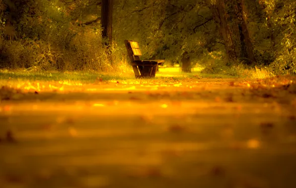 Picture road, autumn, leaves, light, trees, nature, mood, Bench, shop