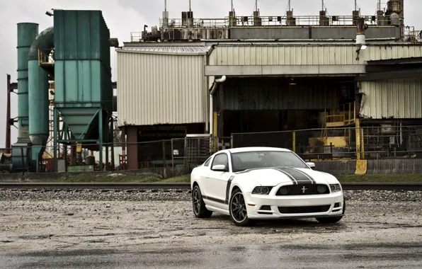 Picture white, plant, mustang, the fence, white, ford, Ford Mustang, boss 302, boss 302