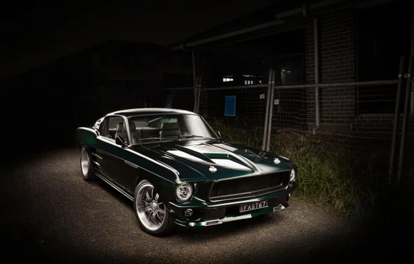 Picture Mustang, Ford, 1967, Fastback