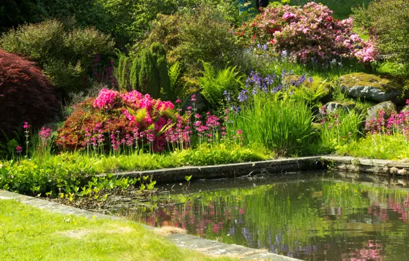 Picture greens, flowers, pond, garden, UK, colorful, the bushes, Mount Pleasant gardens