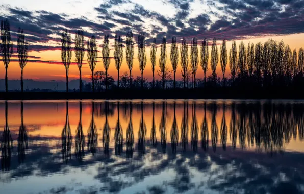Picture the sky, water, reflection, trees, sunset, the evening, Italy, silhouettes, poplar