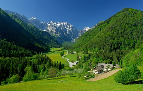 Picture greens, the sky, grass, trees, mountains, home, spring, valley, Alps