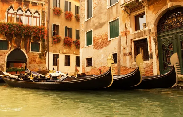 Picture water, flowers, Windows, home, Venice, Italy, gondola