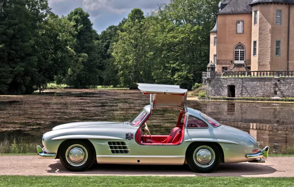 Picture grass, trees, lake, house, silver, silver, house, grass, Mercedes, lake, tree, Mercedes-Benz, 300 sl