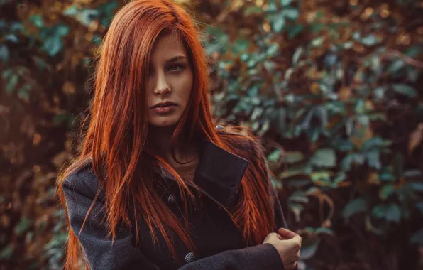 Picture girl, woman, young, redhead, perfect, hair, red head, hairs, oily, Max Vladimirskiy