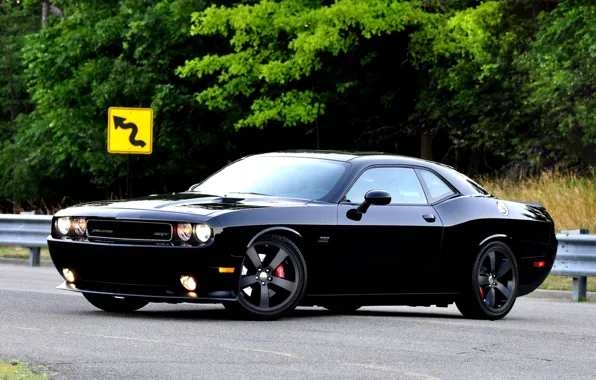 Picture Dodge, Dodge, SRT8, Challenger, the front, Muscle car, Muscle car, Chelenzher