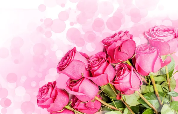 Picture flowers, bouquet, pink background, pink roses