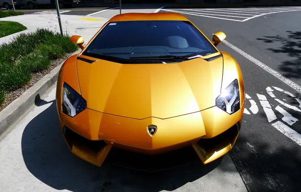 Picture grass, yellow, Parking, lamborghini, Blik, yellow, the view from the top, aventador, lp700-4, Lamborghini, aventador, …