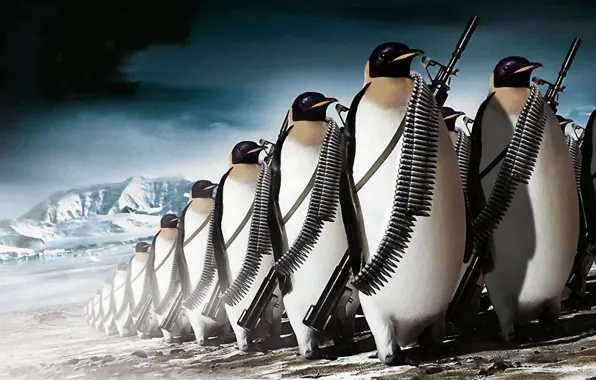 Picture gun, ice, fantasy, weapon, army, animal, rifle, ammunition, the Antarctic, penguins