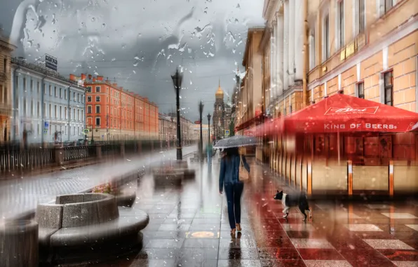 Picture girl, drops, rain, umbrella, Saint Petersburg, Russia