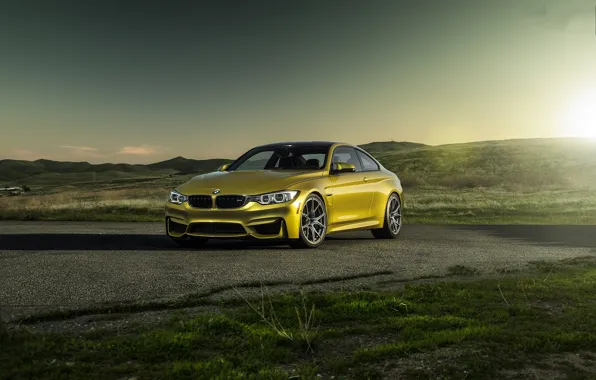 Picture sunset, yellow, bmw, BMW, coupe, shadow, yellow, f82