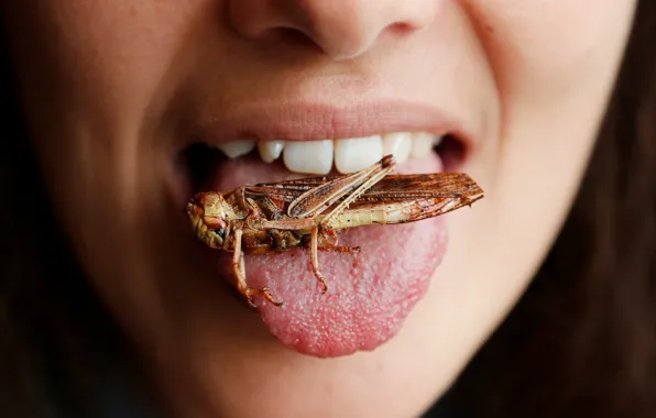 Picture woman, lips, insect, teeth, grasshoppers