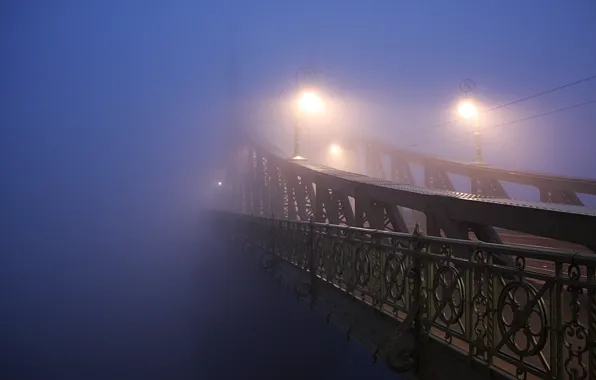 Picture light, night, the city, fog, photo, lamp, bridges