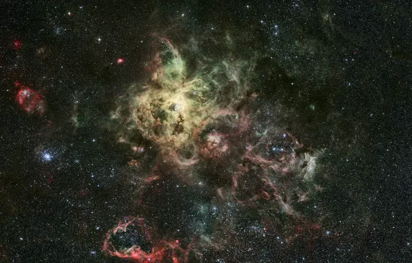 Picture constellation, Gold Fish, emission nebula, Tarantula, NGC 2070