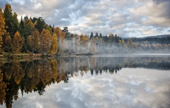 Picture autumn, forest, trees, lake, morning, haze