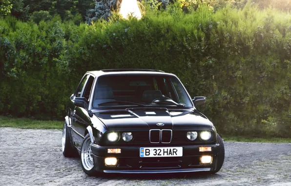 Picture black, BMW, BMW, black, the bushes, Coupe, E30, 3 Series