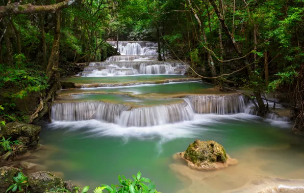 Picture forest, trees, river, thickets, stone, waterfall, stream, cascade