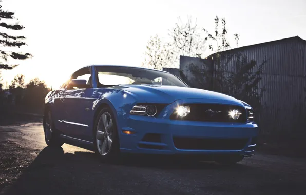 Picture Mustang, Ford, Ford, Muscle, Mustang, Car, Blue, 5.0