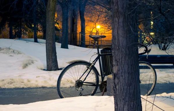Picture winter, the sun, snow, trees, sunset, Park, street, trees, sunset, snow, sun, street, winter park
