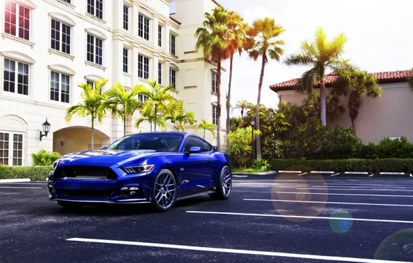 Picture Mustang, Ford, Muscle, Car, Blue, Front, Sun, Summer, Wheels, 2015, Velgen