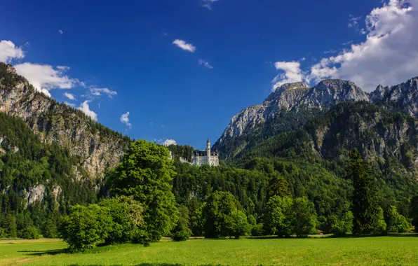 Picture trees, mountains, Germany, Bayern, meadow, Germany, Bavaria, Neuschwanstein Castle, Neuschwanstein Castle