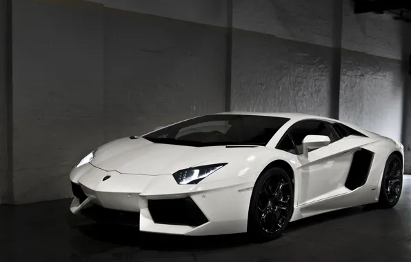Picture white, wall, Parking, white, lamborghini, front view, headlights, aventador, lp700-4, Lamborghini, aventador