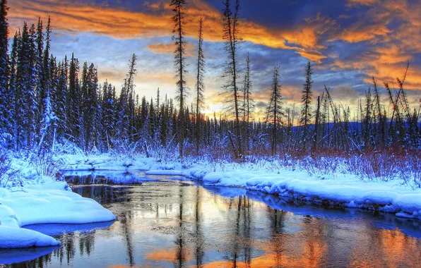 Picture winter, forest, the sky, clouds, snow, trees, landscape, sunset, mountains, river, stream