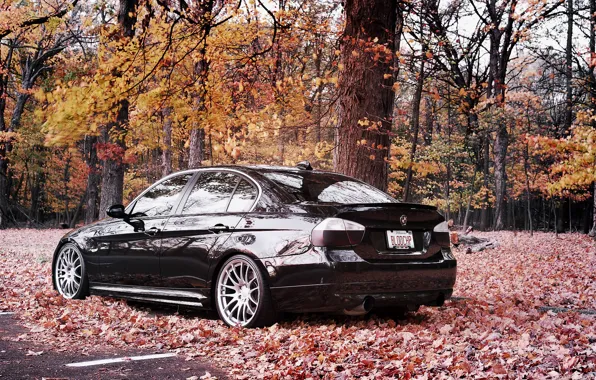 Picture bmw, BMW, cars, cars, 335i, auto wallpapers, car Wallpaper