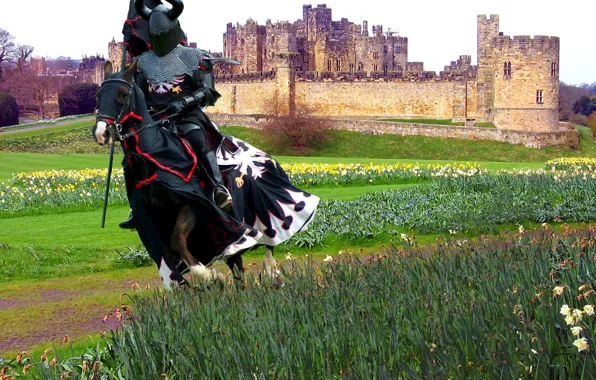 Picture field, castle, armor, knight, spear, armor, horse, grass. flowers, pennant, the blanket