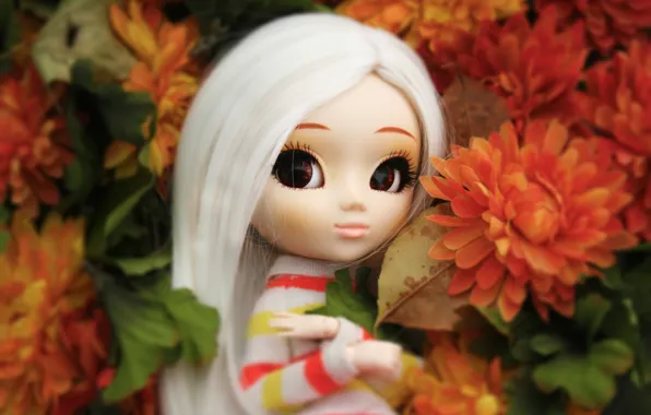 Picture flowers, doll, big eyes