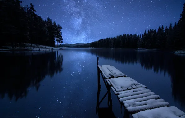 Picture winter, forest, the sky, stars, snow, trees, night, river, shore, pier