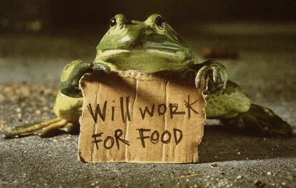 Picture text, work for food, frog