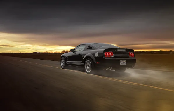 Picture Mustang, Ford, Muscle, Car, Speed, Grey, Road, Collection, Aristo, Rear, GT 350