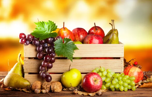 Picture autumn, apples, harvest, grapes, fruit, nuts, box, pear