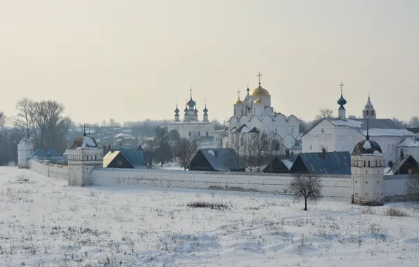 Picture winter, snow, trees, landscape, wall, home, morning, Church, haze, temple, the monastery, Suzdal