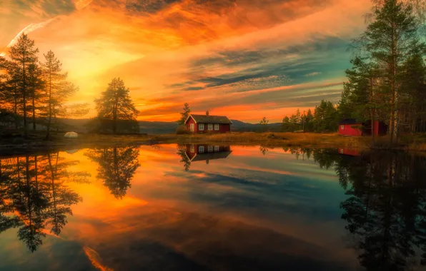 Picture trees, sunset, lake, reflection, home, Norway, Norway, RINGERIKE, Ringerike