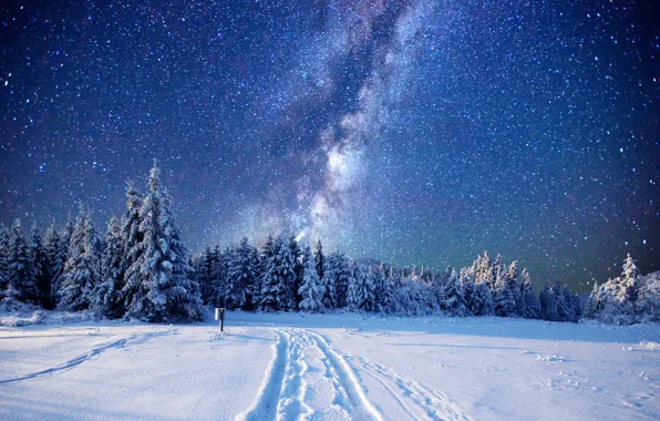 Picture winter, forest, the sky, stars, snow, trees, glade, the milky way