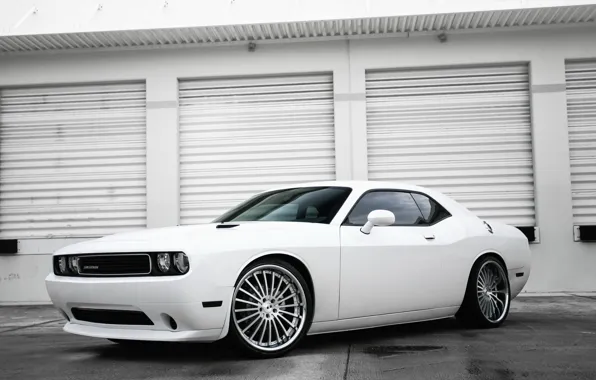 Picture Dodge, Challenger, white
