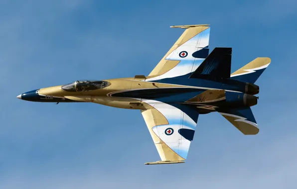 Picture fighter, multipurpose, Hornet, McDonnell Douglas, canadian, CF-18