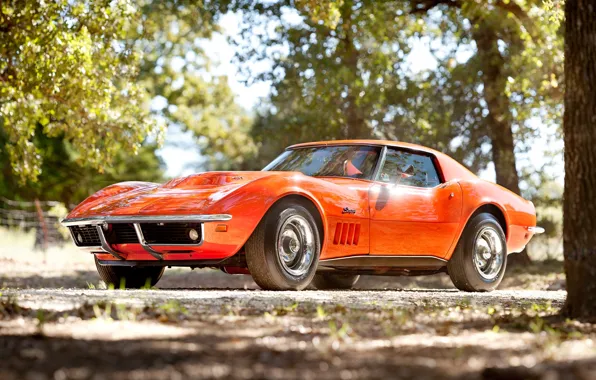 Picture trees, orange, Corvette, Chevrolet, 1969, Chevrolet, classic, the front, Corvette, stingrey, Stingray