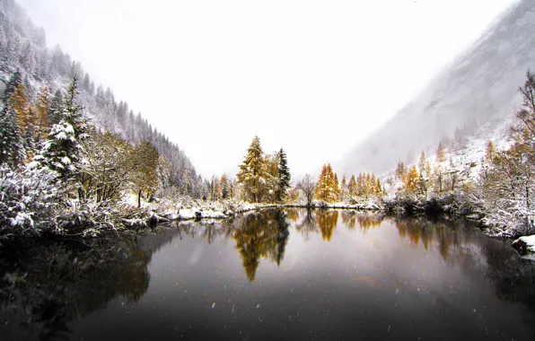 Picture winter, snow, trees, mountains, fog, lake, reflection, mirror