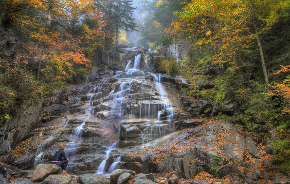 Picture autumn, forest, trees, mountains, river, stones, rocks, waterfall, stream