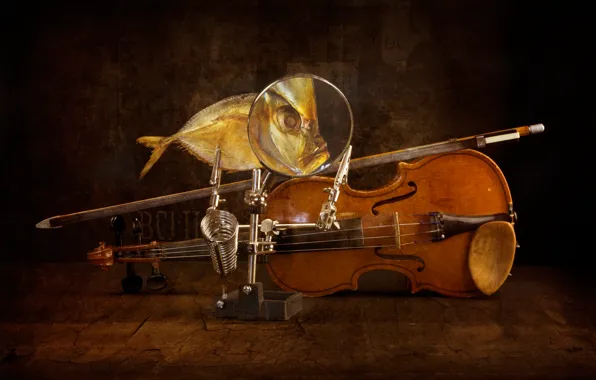 Picture violin, fish, art, bow