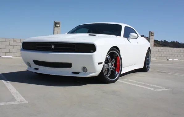 Picture dodge, challenger, tuning, widebody, asanti