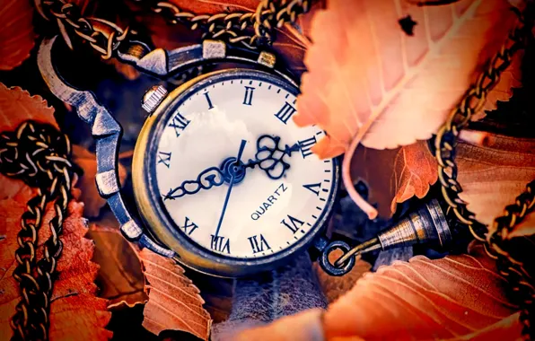 Picture autumn, leaves, arrows, watch, dial, autumn, leaves, hands, clock, dial