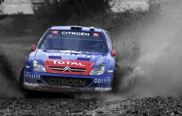 Picture Water, Auto, Blue, Sport, Machine, Logo, The hood, Day, Citroen, Squirt, WRC, Rally, Rally, The …