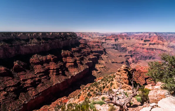 Picture mountains, canyon, AZ, USA, USA, Arizona, rocks, canyon, The Grand Canyon, Grand Canyon